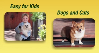 Bug Off Screens Help Keep Pets and Animals Cool in the Hot W'