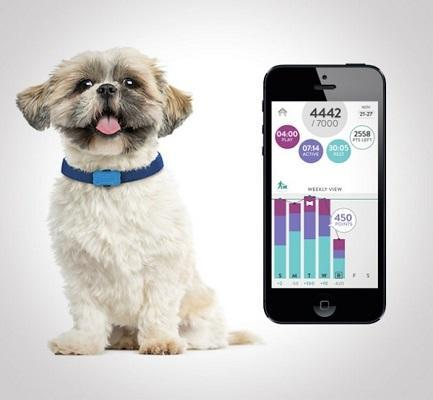 Pet Smart Wearable Device'