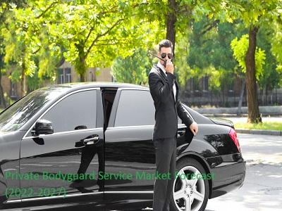 Private Bodyguard Service Market'