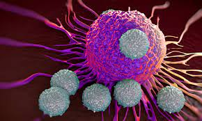 Cancer Therapies Market