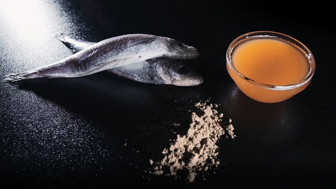 Fishmeal &amp; Fish Oil Market