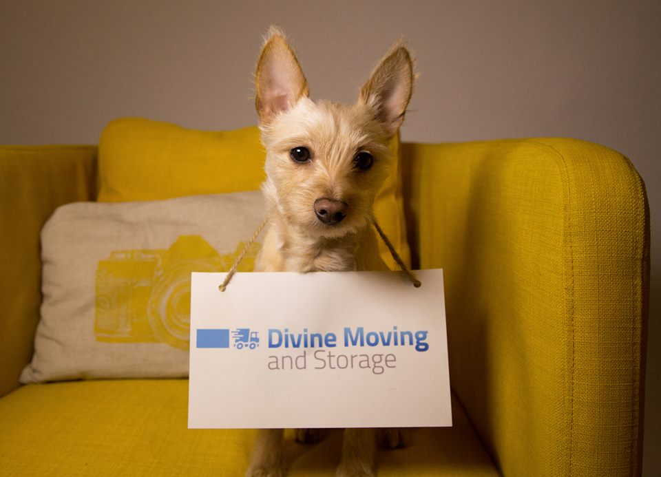 Divine Moving and Storage NYC'