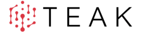 Teak IP Services Logo