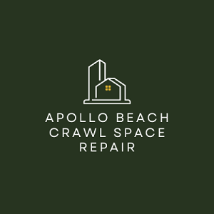 Company Logo For Apollo Beach Crawl Space Repair'