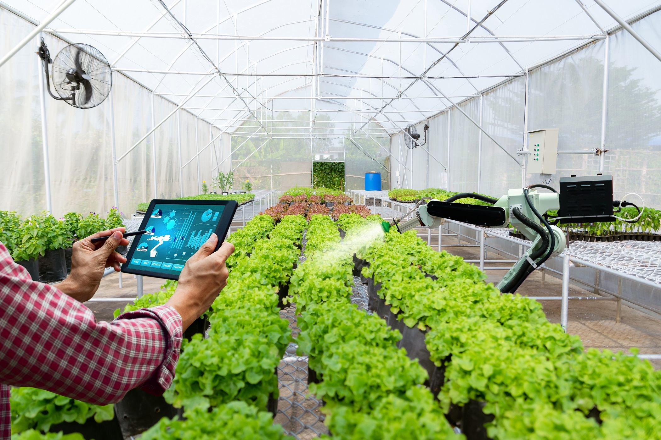 Blockchain In Agriculture And Food Supply Chain Market