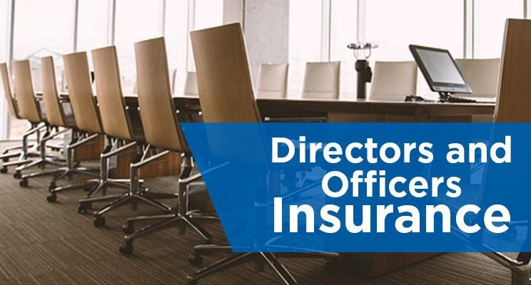 Directors and Officers Liability Insurance Market'