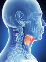 Hypopharyngeal Cancer market'