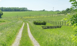 I Want To Sell My Land'