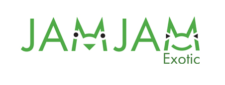 Company Logo For JamJam Exotic'