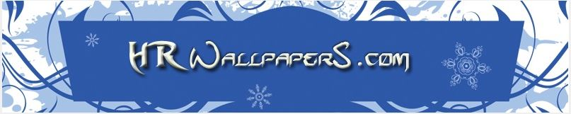 Company Logo For Computer Wallpapers'
