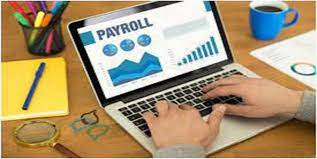 Small Business Payroll Software Market'