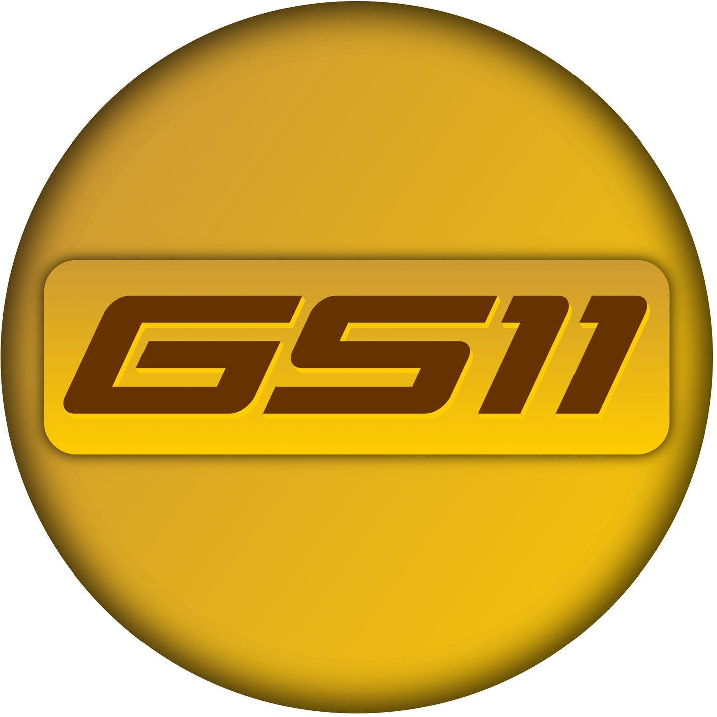 Company Logo For GS11'