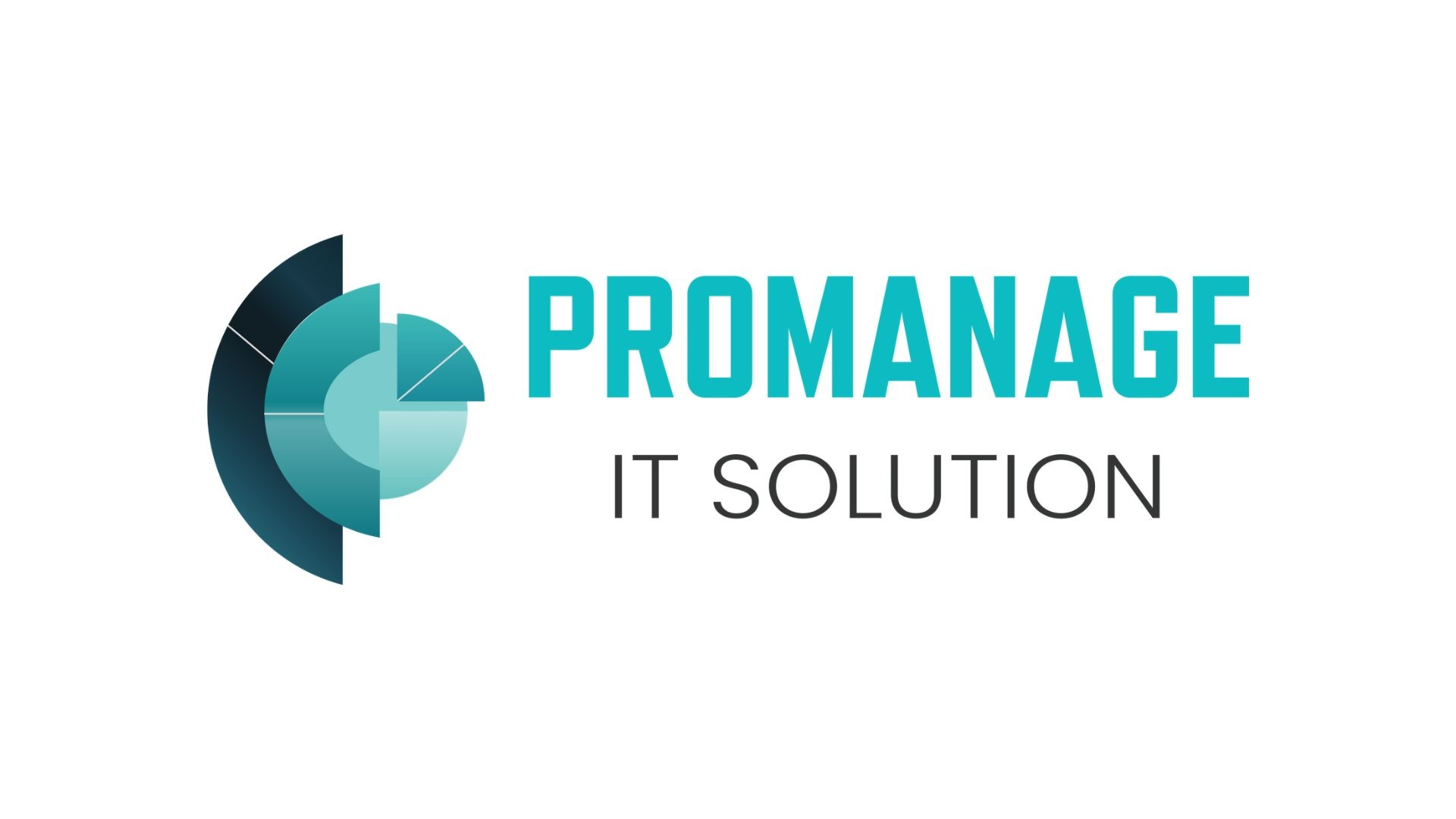 Company Logo For Promanage IT Solutions'