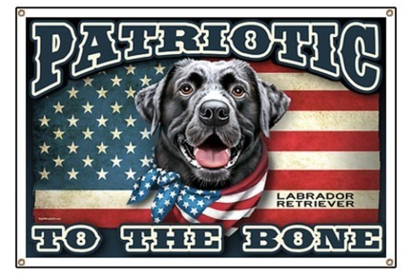 Service Dogs Save Lives'