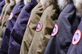 Luxury Down Jacket Market'