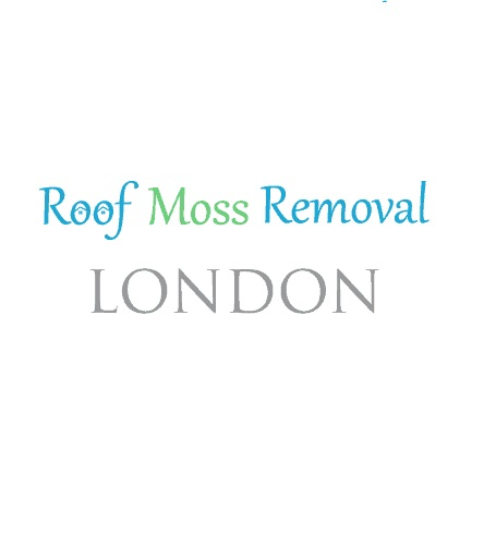 Roof Moss Removal London Logo