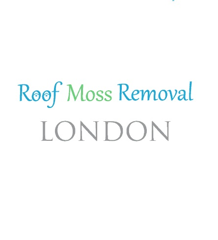 Company Logo For Roof Moss Removal London'