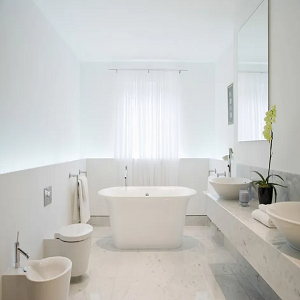 Bathtub Refinishing Orlando Logo