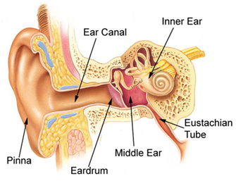 earwax removal'