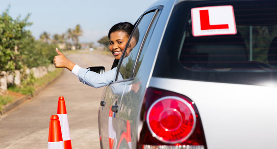 Learner Driver Insurance Market'