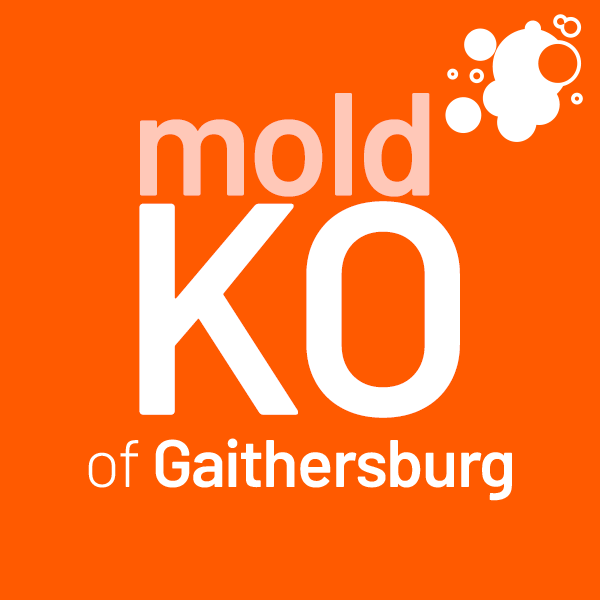 Company Logo For Mold KO of Gaithersburg'