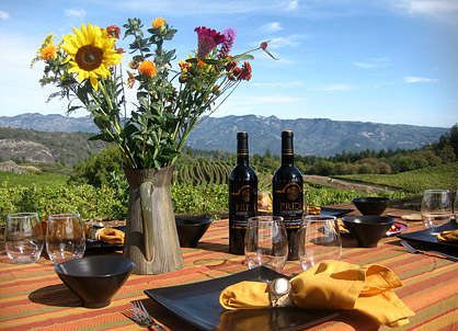 napa-valley-tours'