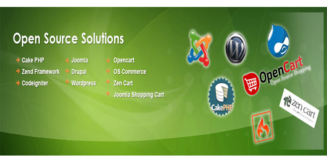 Software Development Services'