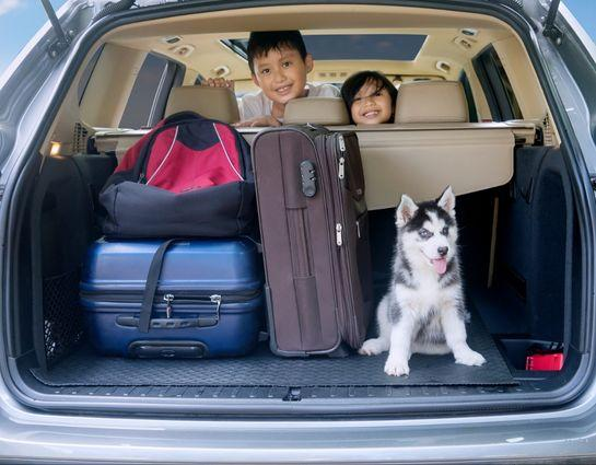 Company Logo For Nation North Insurance Brokerage (Yellowkni'