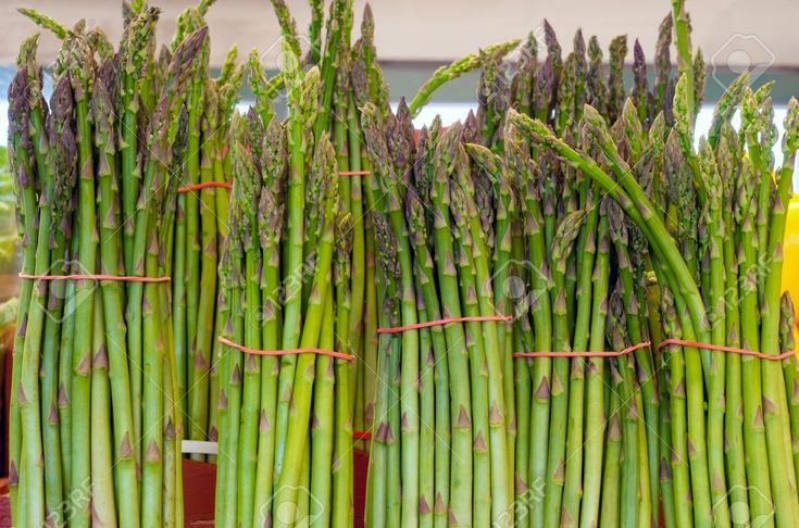 Asparagus Products Market