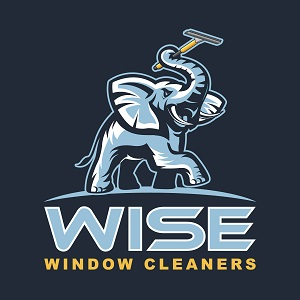 Company Logo For Wise Window Cleaners'