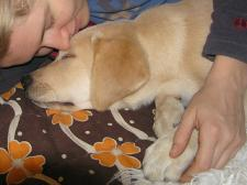 &ldquo;Safeguard Your Children&rdquo;