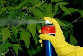 Biochemical Pesticides Market