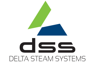 Company Logo For Delta Steam Systems'