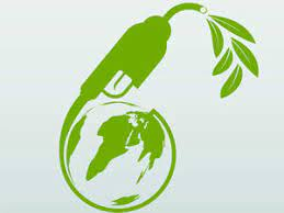 Renewable Fuel Market'