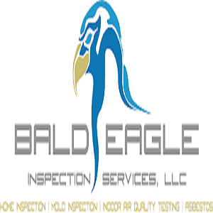 Company Logo For Bald Eagle Inspection Services, LLC'