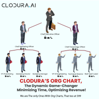 Clodura's Amazing Org Chart feature