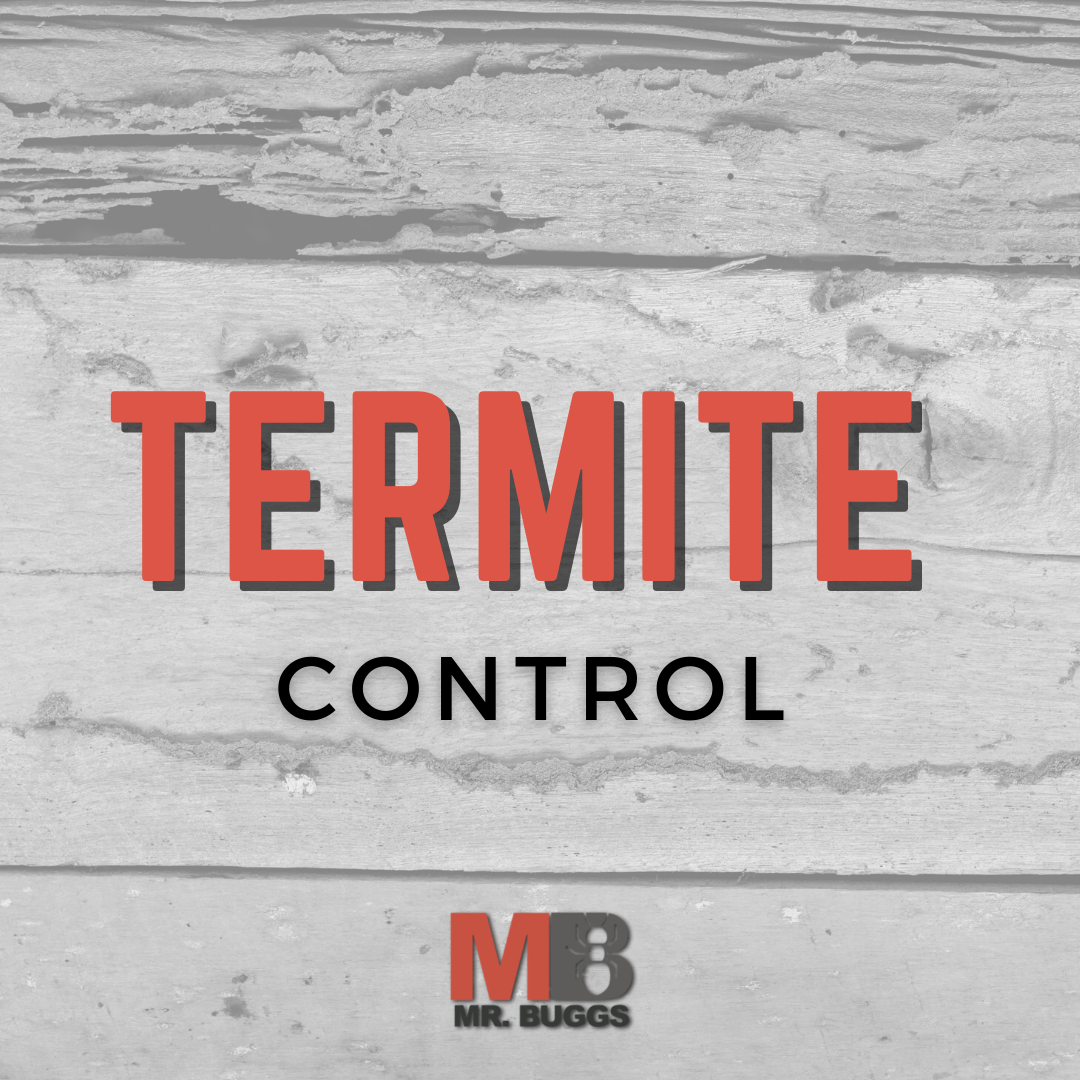 Company Logo For Mr Bugg's Pest Patrol, Inc'