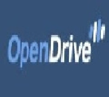 Company Logo For Open Drive'