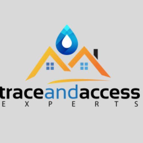 Company Logo For Trace And Access Experts'