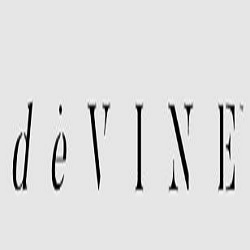 Company Logo For deVINE Boston'