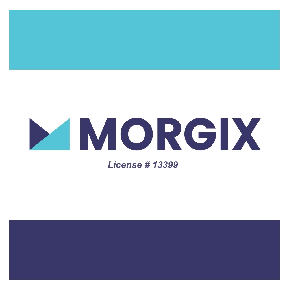 Company Logo For Morgix'