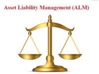 Asset Liability Management (ALM) Market