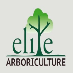 Company Logo For Elite Arboriculture'