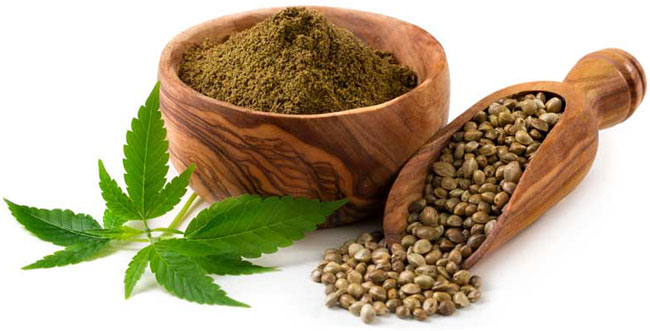 Hemp Protein Market'