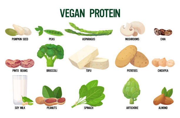 Organic Plant-Based Protein Market'