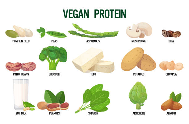 Organic Plant-Based Protein Market