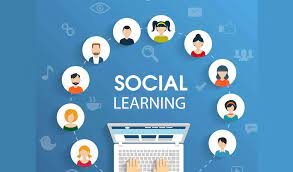 Social Learning Platforms Market'