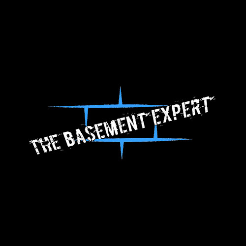 Company Logo For The Basement Expert'