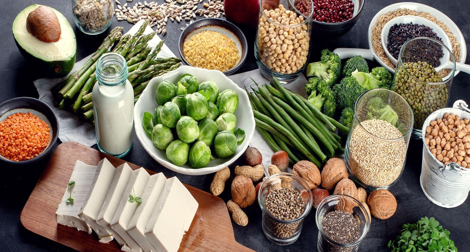 Protein Ingredient Market'