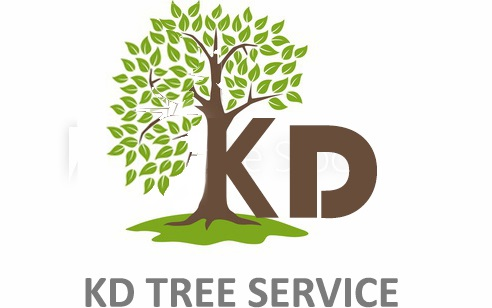 Company Logo For KD TREE SERVICE ROCHESTER NY'